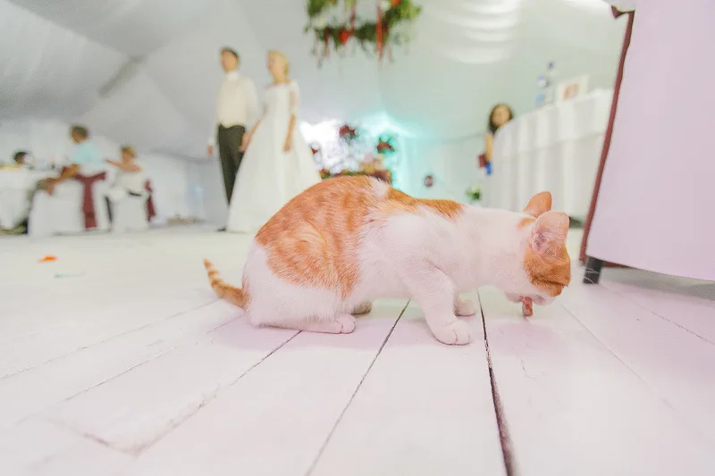 Dmitriy & Oksana - A Yekaterinburg Wedding photographed by Anton Matveev